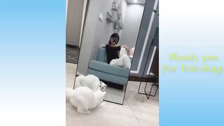 try not to laugh