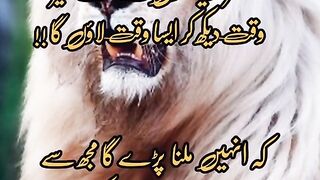 Best shayari