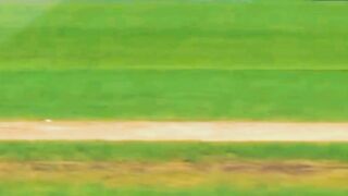 Direct hit| Run out by Shadab khan