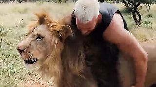 Can This Man Handle This Lion ????????