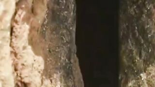 Amazing birds????????????????