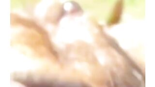Funny goat ????????????