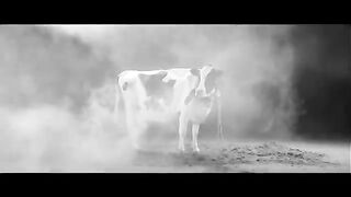 Nathalie Cardone - Populaire (Official Video HD)