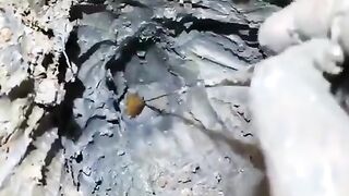 What is that?????