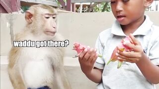 Monkey vs Fruit