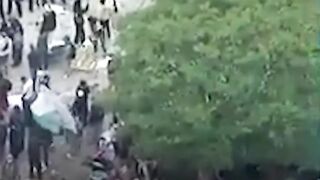 Black Professor Arrested At Pro-Palestine Rally Speaks #Shorts #Protests #ProPalestine