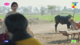 Sher Jawan Ko Muhabbat Ho Gayi...!! #sajalali #hamzasohail - Zard Patton Ka Bunn - HUM TV.