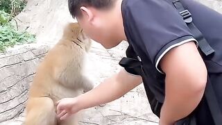 Teasing monkey funny. ????.