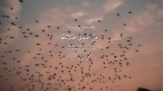 Quran world