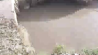 Yemen
