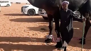 ماشاءالله تبارك الرحمن ماشاءالله )