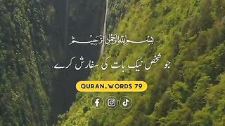 القرآن 24