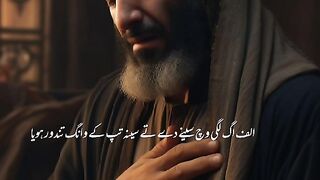How to panjabi shairy ???????????????? 3