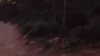 the forest 2