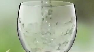 Water life 2