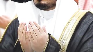 رددو امين