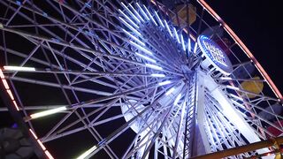 "Smiling Thrills: A Happy Day at the Theme Park"