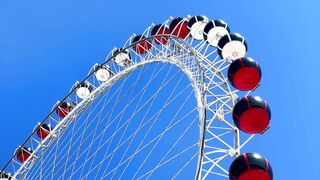 "Joy in Every Turn: A Day at the Amusement Park"