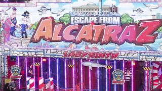 "Delightful Rides: Happiness at the Theme Park"