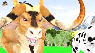 Animals 70