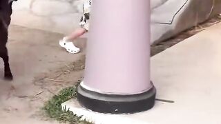 BTS future baby @CuteLife