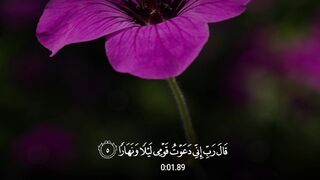 Quran Al Kareem 8