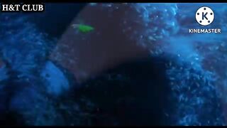 الحلقه 12 من فيلم اميراضلام دراكولا