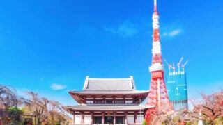 Tokyo Tower (Tokyo)