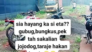 ayam broiler || kata kata lucu 61