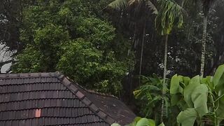 Rain and Rain