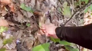 Chicken Cooking Video by ASMR