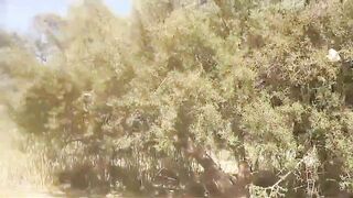 طريقة تحضير زيت ارگان