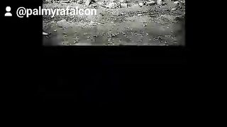 مملكة تدمر 3
