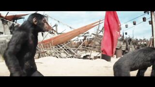 KINGDOM OF THE PLANET OF THE APES All Movie Clips (2024) 2