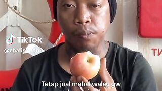 ???????????? 278