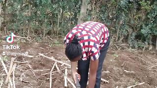 Planting 2