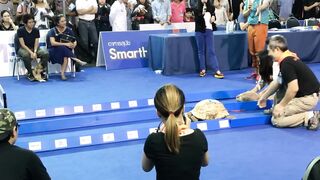 Tortue-Vs-Lievre-Qui-gagne