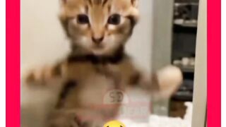 ???????????? 279