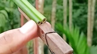 Bamboo creations