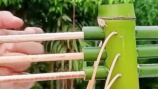Bamboo Creations 2