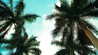 Ovy On The Drums Ft KAROL G_ Danny Ocean - Miedito o Qué_ (Official Video)(720P_HD).