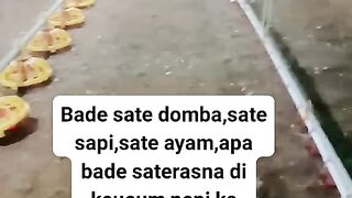 ayam broiler || kata kata lucu 73