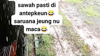 ayam broiler || kata kata lucu 75