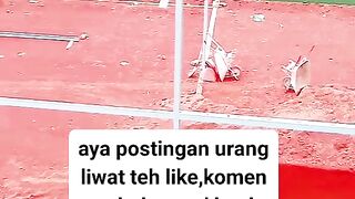 ayam broiler || kata kata lucu 77