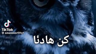 Beautiful Music 2