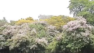 Beautiful Nature ???? 3