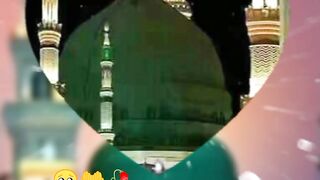 video 555