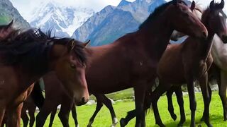 Kyrgyzstan 3