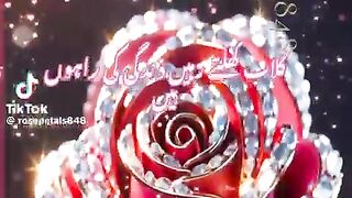 gulab khulty rahy ga