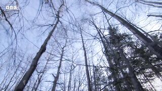 How Do Animals Survive Freezing Winters  How Nature Works  BBC Earth